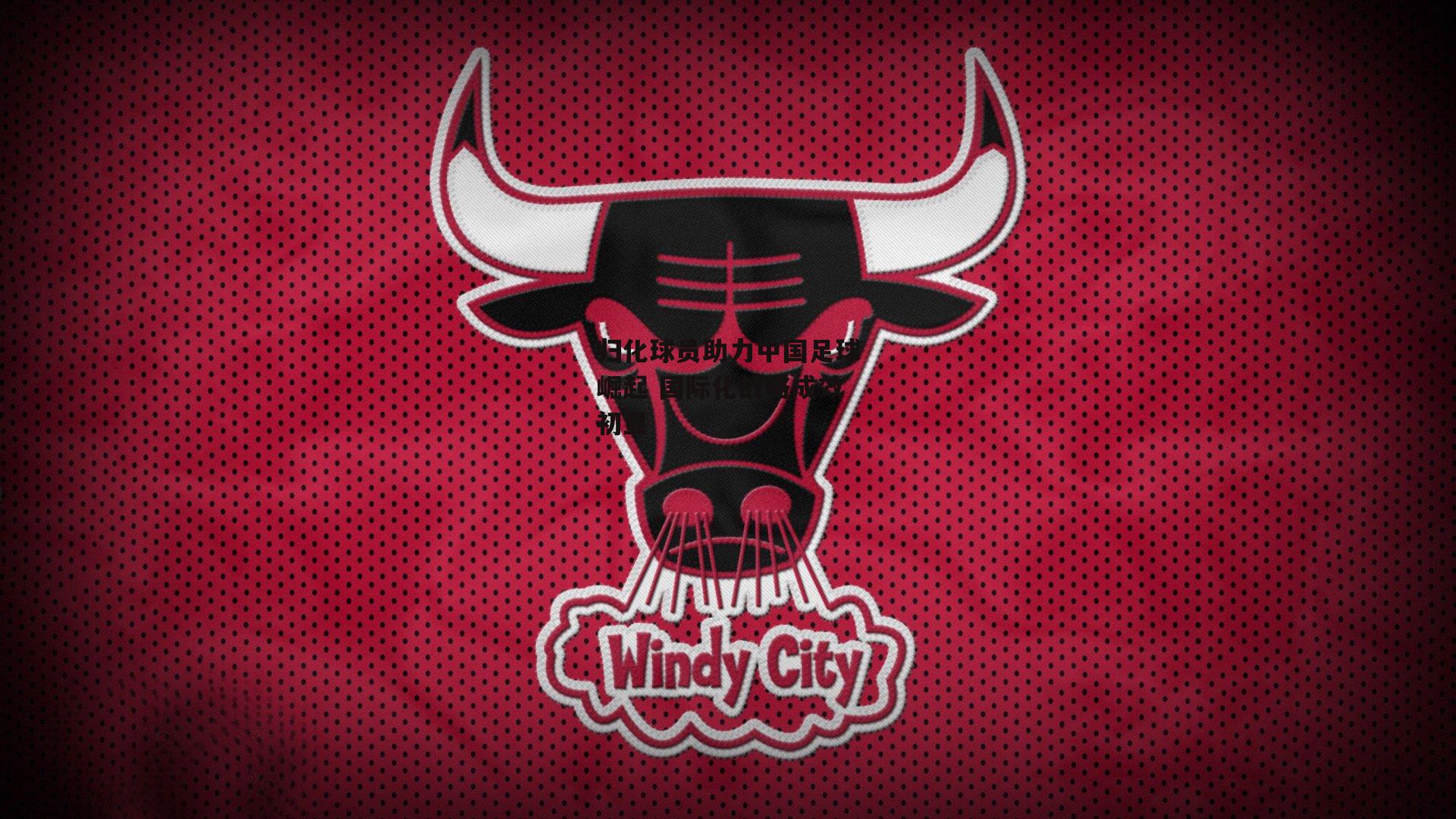 归化球员助力中国足球崛起 国际化战略成效初显